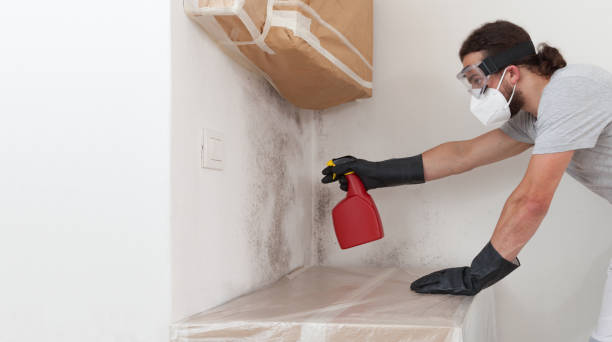 Professional Attic Mold Remediation technician working in Hopewell, NJ
