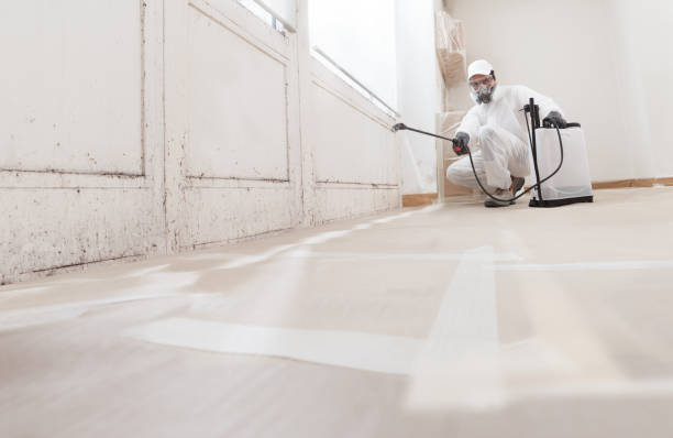 24/7 Emergency Attic Mold Remediation experts in Hopewell, NJ