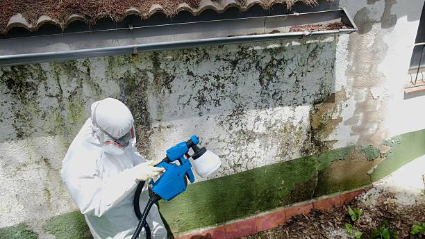 Top rated local Attic Mold Remediation specialists in Hopewell, NJ